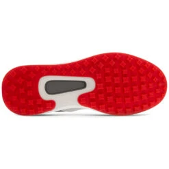 Ecco Core Golf Shoes -Golf Promotion Store Ecco Golf Core Concrete Dark Shadow Magnet Golf Shoe 6